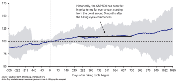 Fed Hiking Cycle graph