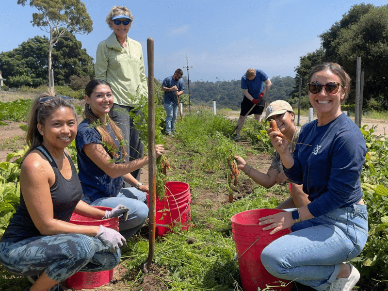 Team Volunteering Santa Barbara Bucket Brigade