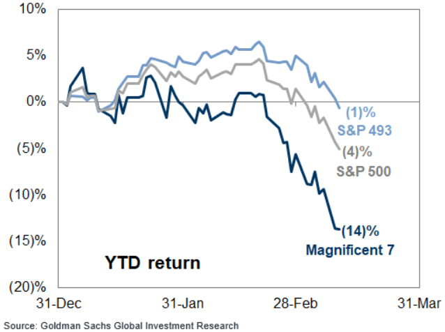 Magnificent 7 YTD Returns for Q1 2025