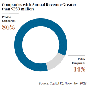 Companies with Annual Revenue Greater than $250 million Graph