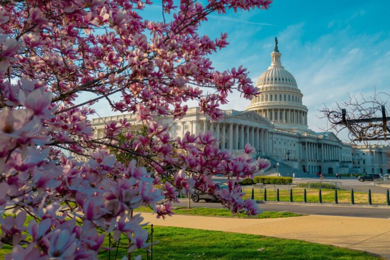 Capitol democracy in USA Washington DC, Capitol building USA. Supreme Court, Washington monument. USA Congress. Capitol is symbolic of USA. Spring in Washington D C.