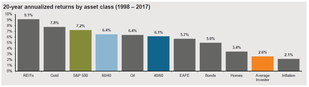 Average Investor 20 year annualized returns