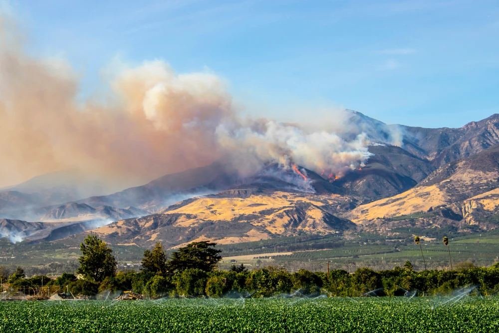 What To Do Before and After a Wildfire
