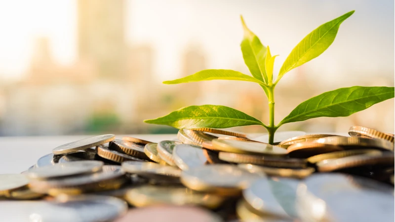 Understanding Socially Responsible Investments