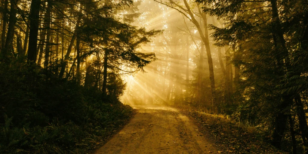 The Journey to Financial Freedom Isn’t as Linear as You Think