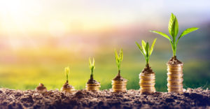 Choosing a 529 Savings Plan